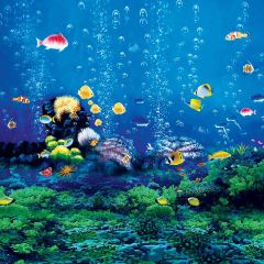 Under The Sea Photography Scenery Backdrop Ocean Theme Banner AKA-617