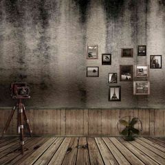 Relic Photo Wall Photography Scenery Backdrop Indoor Theme Banner AKA-628