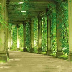 Green Tunnel Photography Scenery Backdrop Arches or Pillars Theme Banner AKA-641