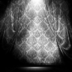 Royal Pattern Curtain Photography Scenery Backdrop Textures Theme Banner AKA-667