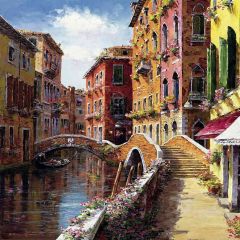 Venice Street Photography Scenery Backdrop Streetscape Theme Banner AKA-679