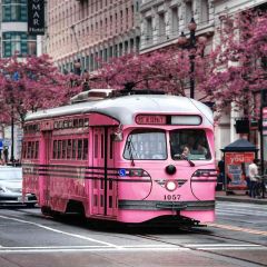 Pink Bus Photography Scenery Backdrop Streetscape Theme Banner AKA-681