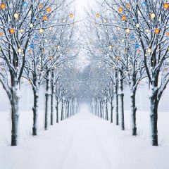 Avenue In Winter Photography Scenery Backdrop Snow Theme Banner AKA-687