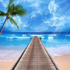 Beach Walk Photography Scenery Backdrop Ocean Theme Banner AKA-693