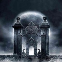 Goth Arch Photography Scenery Backdrop Fantasy Theme Banner AKA-694