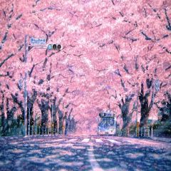 Oriental Cherry Tree Ave Photography Scenery Backdrop Nature Theme Banner AKA-698