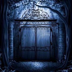 Iron Door Photography Scenery Backdrop Night Theme Banner AKA-704