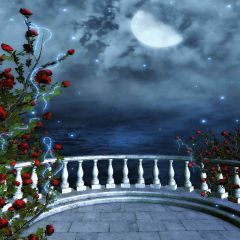 Night With Roses Photography Scenery Backdrop Night Theme Banner AKA-708