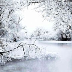 Winter Lake Photography Scenery Backdrop Snow Theme Banner AKA-711