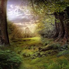 Green Pathway Photography Scenery Backdrop Nature Theme Banner AKA-716