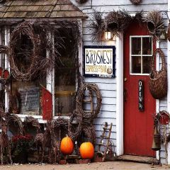 Birdnest Store Photography Scenery Backdrop Door Theme Banner AKA-720