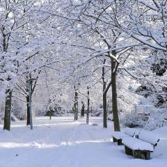 White Snow Photography Scenery Backdrop Snow Theme Banner AKA-721