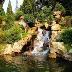 Ravine Stream Photography Scenery Backdrop Nature Theme Banner AKA-723