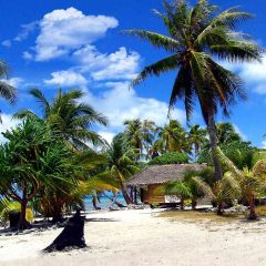 Cabin On The Beach Photography Scenery Backdrop Ocean Theme Banner AKA-724