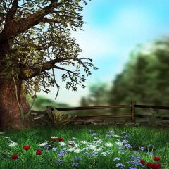 Tree And Grass Photography Scenery Backdrop Nature Theme Banner AKA-736