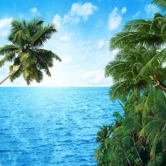 Blue Sea Photography Scenery Backdrop Ocean Theme Banner AKA-742