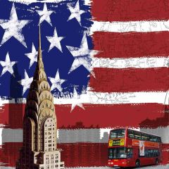 USA Photography Scenery Backdrop Flag Theme Banner AKA-750