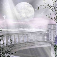 White Balcony Photography Scenery Backdrop Balcony Landscape Theme Banner AKA-759