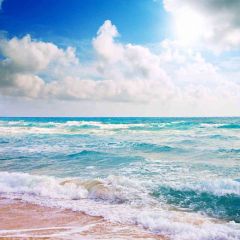 Beach Waves Photography Scenery Backdrop Ocean Theme Banner AKA-768