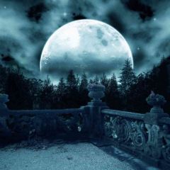 Moon Night Sky Photography Scenery Backdrop Night Theme Banner AKA-779