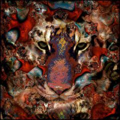 Leopard Face Photography Scenery Backdrop Abstract Art Theme Banner AKA-781