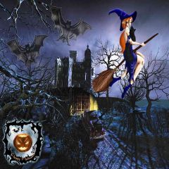 Witch On The Broom Photography Scenery Backdrop Halloween Theme Banner AKA-786