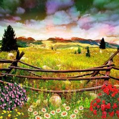 Beautiful Field Photography Scenery Backdrop Nature Theme Banner AKA-795