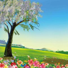 Green Field Photography Scenery Backdrop Nature Theme Banner AKA-797