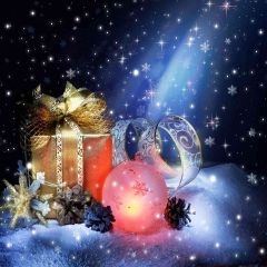 Christmas Gift Photography Scenery Backdrop Christmas Theme Banner AKA-800