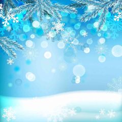 Winter Land Photography Scenery Backdrop Starlight Shine Theme Banner AKA-810