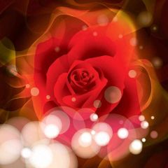 Rose Photography Scenery Backdrop Flowers Theme Banner AKA-813