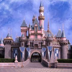 The Castle Photography Scenery Backdrop Architectural Theme Banner AKA-827