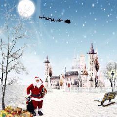 Cute Castle Photography Scenery Backdrop Christmas Theme Banner AKA-831