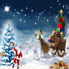 Wonderful Christmas Night Photography Scenery Backdrop Christmas Theme Banner AKA-836