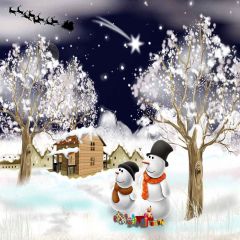 Romantic Snow Photography Scenery Backdrop Christmas Theme Banner AKA-850