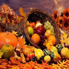 Tempting Fruits Photography Scenery Backdrop Autumn Theme Banner AKA-851