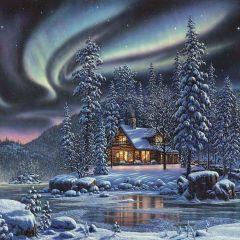 Frozen River Photography Scenery Backdrop Architectural Theme Banner AKA-862