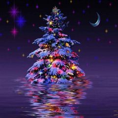 Distinctive Christmas Tree Photography Scenery Backdrop Christmas Theme Banner AKA-867