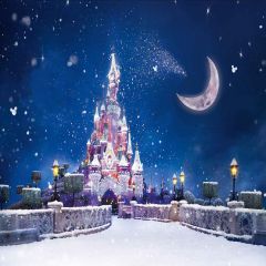 Lovely Castle Photography Scenery Backdrop Architectural Theme Banner AKA-882