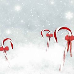 White Snowflakes Photography Scenery Backdrop Christmas Theme Banner AKA-886