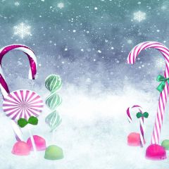 Lucky XMAS Photography Scenery Backdrop Christmas Theme Banner AKA-887