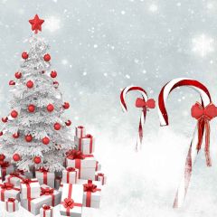 Heavy Snowfall Photography Scenery Backdrop Christmas Theme Banner AKA-891