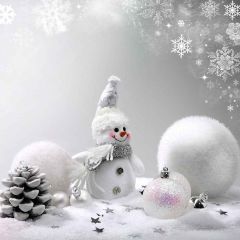 Crystal Snowflakes Photography Scenery Backdrop Snow Theme Banner AKA-892