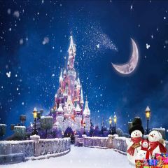 Snow-Covered Castle Photography Scenery Backdrop Christmas Theme Banner AKA-895