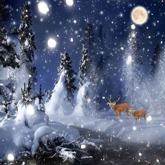 Snowy Night Photography Scenery Backdrop Snow Theme Banner AKA-903
