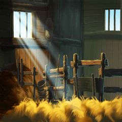 Wooden House Photography Scenery Backdrop Indoor Theme Banner AKA-904