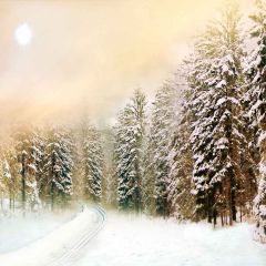 Heavy Snowfall Photography Scenery Backdrop Snow Theme Banner AKA-906