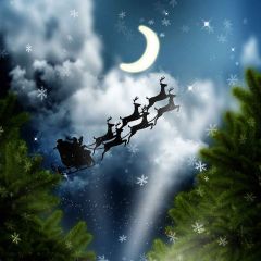 Flying Reindeers Photography Scenery Backdrop Christmas Theme Banner AKA-908