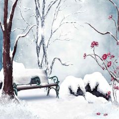 Snow-Covered Bench Photography Scenery Backdrop Snow Theme Banner AKA-910