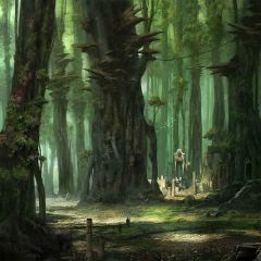 Secret Forest Photography Scenery Backdrop Forest Theme Banner AKA-913